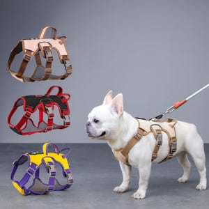 Adjustable No-Pull Dog Harness: Reflective Padded Vest