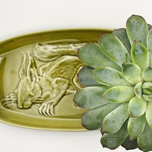 Può includere: Un piatto da portata in ceramica verde con un motivo a scoiattolo in rilievo. Il piatto è rettangolare con angoli arrotondati. Una pianta succulenta con foglie verdi e bordi rossi è accanto al piatto.