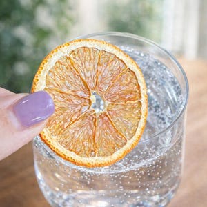 May include: A clear glass filled with a bubbly, clear liquid, possibly a cocktail or sparkling water, with a dried orange slice garnish. The orange slice is held near the glass. The background is blurred, suggesting a natural outdoor setting.