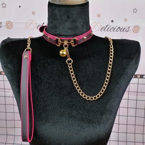 May include: A burgundy and pink pet collar and leash set. The collar features gold-colored hardware, heart-shaped studs, and a small bell. The leash is black with pink trim and stitching, and a gold-colored chain.
