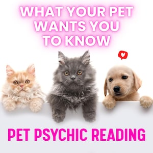 May include: A graphic featuring a light orange fluffy cat, a dark gray fluffy cat, and a light brown puppy. The text reads WHAT YOUR PET WANTS YOU TO KNOW and PET PSYCHIC READING. A small red speech bubble with a white heart icon is above the puppy.