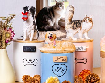 Urna per gatti personalizzata: statuetta personalizzata in argilla polimerica, commemorativo in ceramica per cani e gatti