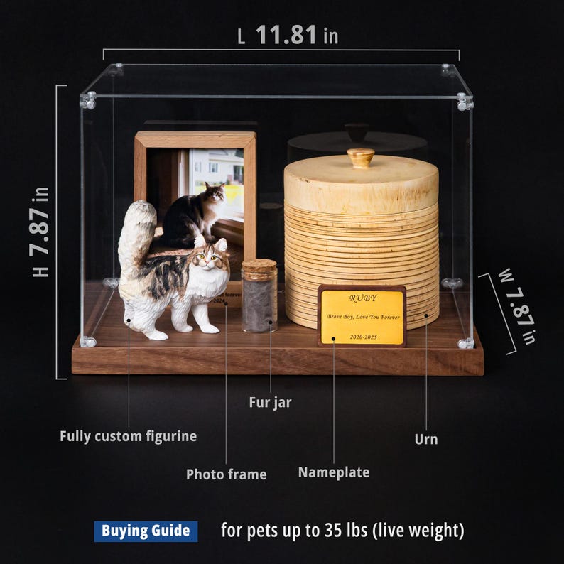 May include: A display case with a wooden base, containing a cat figurine, photo frame, fur jar, and urn. The urn has a nameplate that reads "RUBY". The case is 11.81 inches long, 7.87 inches high and 7.87 inches wide. The text "Buying Guide" is visible.