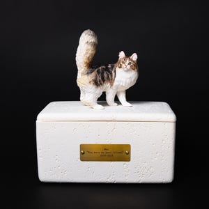 May include: A white cat figurine with brown and black markings stands atop a textured white box. A gold plaque on the box reads "You were my best friend" and the years 2010-2023. The cat has a fluffy tail and is facing forward.