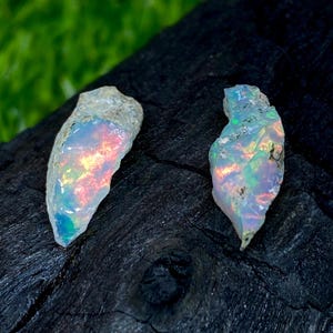 Op de afbeelding: Twee ruwe opaal edelstenen met iriserende kleuren van blauw, groen, rood en geel. De opalen zijn geplaatst tegen een donkere, getextureerde achtergrond, die hun natuurlijke schoonheid en unieke patronen benadrukt. Deze edelstenen zijn ideaal voor het maken van sieraden.
