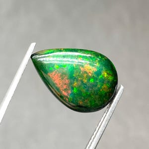 Op de afbeelding: Een druppelvormige, gepolijste edelsteen met een donkergroene basiskleur. De steen heeft levendige flitsen van rood, oranje en geel. De edelsteen wordt vastgehouden door een zilveren pincet tegen een neutrale achtergrond.