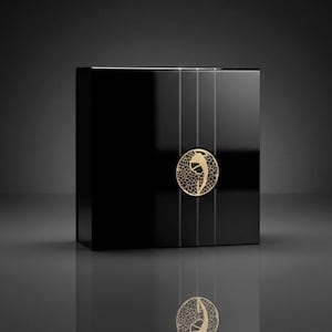 Moderne schwarze Plexiglas-Urne für menschliche Asche mit Messingdetail - hergestellt in Italien