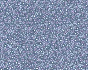 Denim Jasmine Stars, Twinkle Little Star by Natalia Juan Abello for Riley Blake Designs