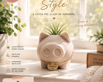 Concrete Pig Air Plant Holder Adopt A Pig With Air Plant Pig With A Personality