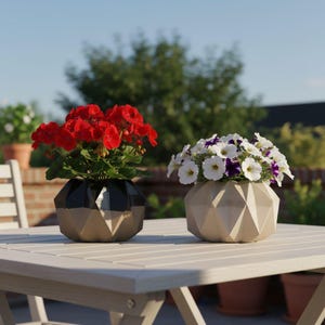 May include: Two geometric planters on a wooden table, each filled with vibrant flowers. One planter is black and gold with red geraniums, the other is beige with white and purple petunias. The scene is set outdoors with a blurred background.