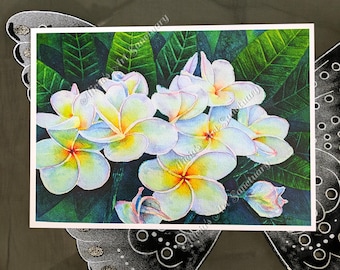 Lámina artística de plumeria de 5x7 pulgadas