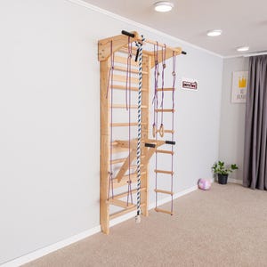 May include: Wooden climbing frame with a ladder, rings, and rope. The frame is mounted on a white wall. A second ladder and rope hang from the top. The room has a neutral carpet and a window with curtains.