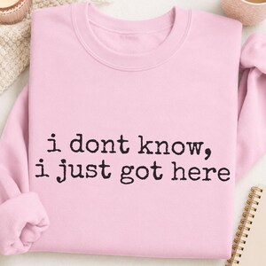 Puede incluir: Una sudadera de cuello redondo en color rosa claro con el texto negro "i dont know, i just got here" impreso en una fuente estilo m&aacute;quina de escribir en el centro del pecho. La prenda tiene mangas largas y cuello, pu&ntilde;os y dobladillo acanalados.