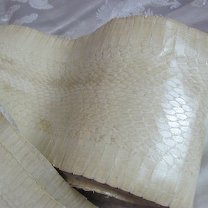 May include: A close-up of a piece of white snakeskin leather. The leather has a textured surface with a pattern of small scales.