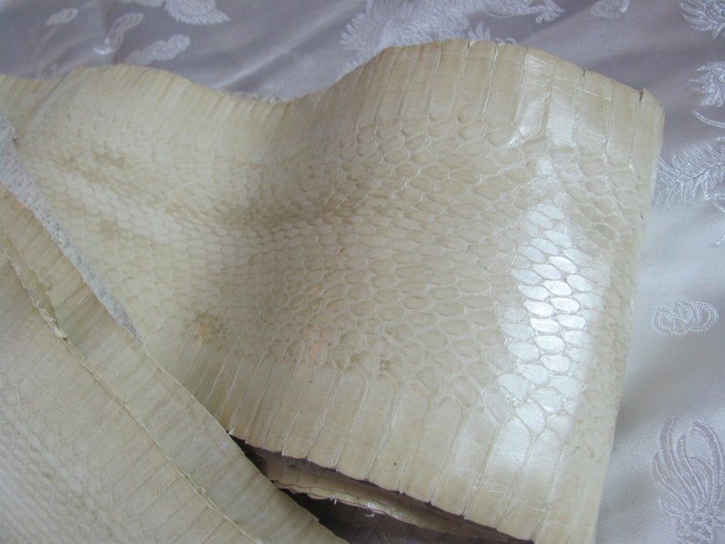 May include: A close-up of a piece of white snakeskin leather. The leather has a textured surface with a pattern of small scales.