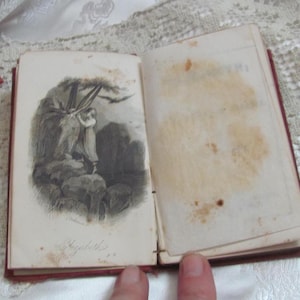 Elizabeth Book, vers 1867, mini livre de poche, collection littérature du XIXe siècle, gravure sur assiettes/Exiles of Siberia - Madame Cottin