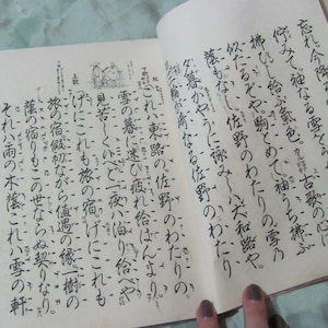 WHOLE BOOK Printed Chinese Japanese Asian Book 6.5" x 9"  16cm x 23cm // Ledger Rice Paper Handwritten Script Calligraphy