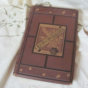 Poetical Works by Henry Wadsworth Longfellow // Printed by Houghton, Mifflin Co 1881  Dedication  Illustrations Hard Cover