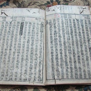 5 pagine da un antico libro giapponese asiatico 7" x 10" // Calligrafia con buchi di vermi su carta naturale e blocchi di legno *spedizione gratuita con tariffa postale*