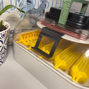 May include: An egg incubator with a white base and a clear plastic dome lid. Inside, there are yellow plastic egg trays and a black divider. A sage green handle with a floral pattern is attached to the top, and a black rectangular latch is visible.