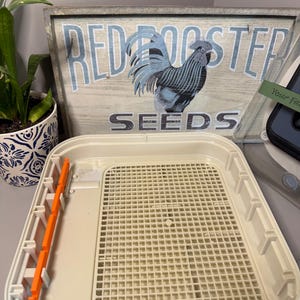 May include: A white plastic tray with a grid pattern and orange accents. The tray is part of a larger appliance. In the background, a wooden sign with a rooster illustration and the text "RED ROOSTER SEEDS".