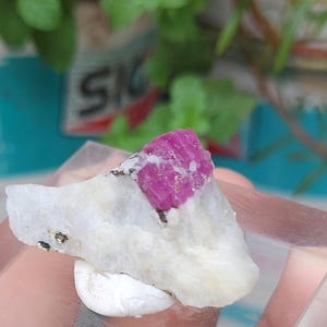 Campione di cristallo di rubino naturale su matrice bianca, 53 carati - Esemplare di minerale raro