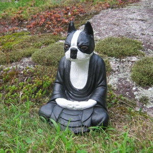 Boston Terrier Buddha Statue, Boston Buddha, Boston Terrier Statues, Concrete Buddha Dog, Cement Dog, Buddha Statue, Dog Meditating, Statues