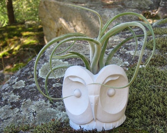 Concrete Planter, Succulent Plant Pot, Owl Themed Plant Pots, Planters for Cacti, Owl Head Planter,