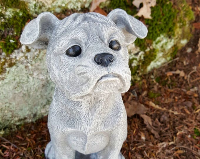 Pit Bull Statue, Staffy Garden Statue, Staffordshire Bull Terrier