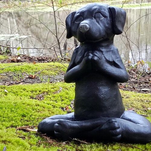 Meditating Dog Concrete Statue Buddha Dog Home Garden Yard Etsy