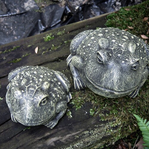 Toad Garden Statue Cute Frog Concrete Figure Painted Cement Etsy
