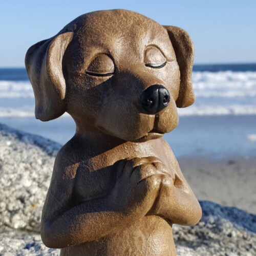 Meditating Dog Concrete Statue Buddha Dog Home Garden Yard Etsy