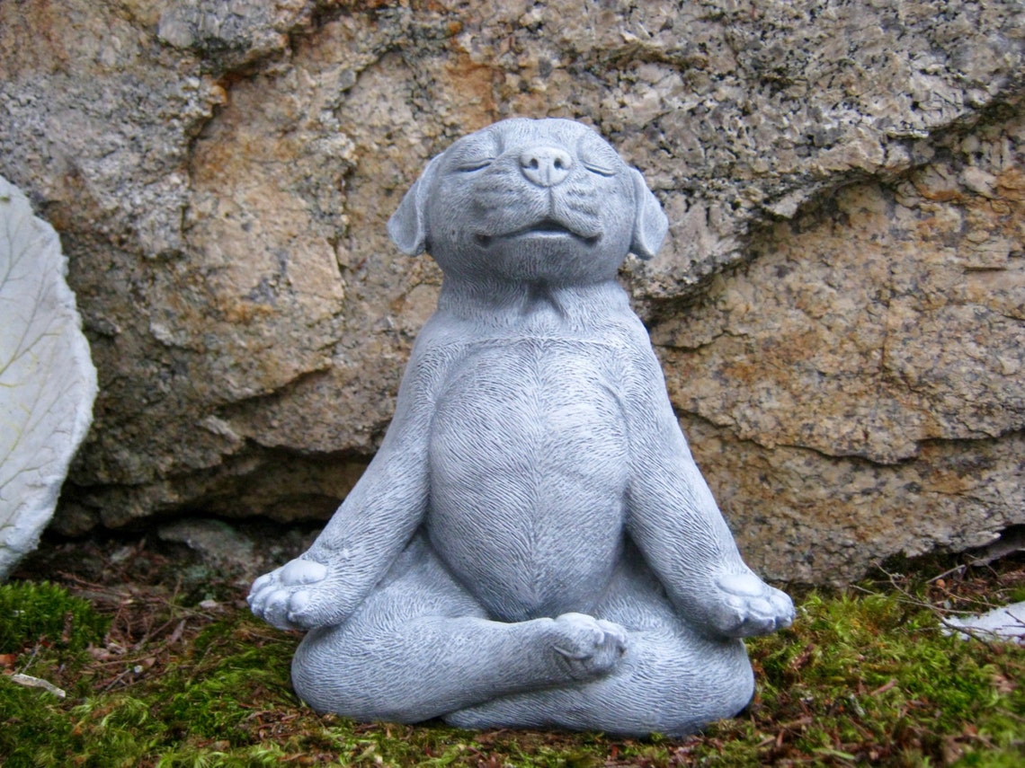 Meditating Dog Statue Zen Yoga Dog Cement Garden Statue Etsy