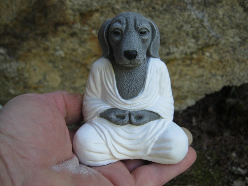 Meditating Dog Buddha Dog Buddhas Meditating Animal Zen Etsy