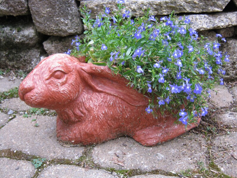 Rabbit Planter Pot Concrete Flower Pot Etsy