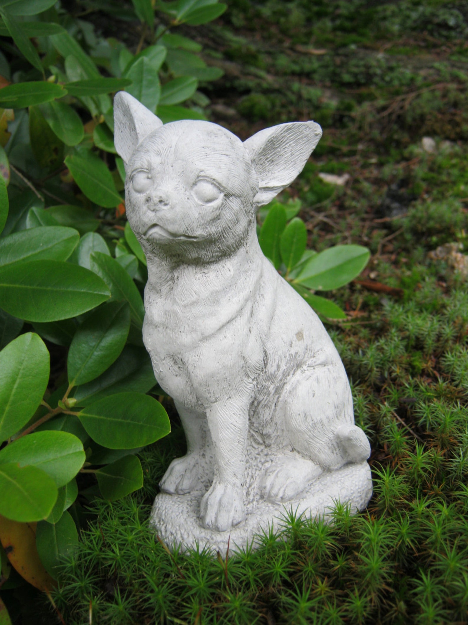 multi colored chihuahua statue