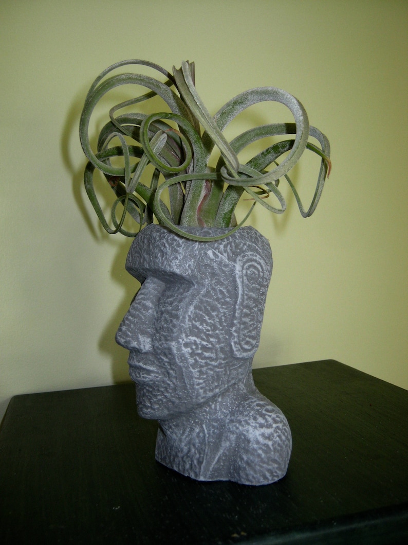Air Plant Pot Head And Face Plant Pots Concrete Planters Cast Cement Cacti Container Succulent Plant Pot Planter Easter Island Head