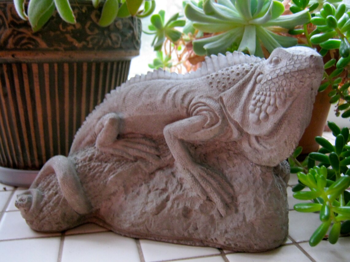Iguana Statue Concrete Lizard Figure Cement Reptile Garden Etsy