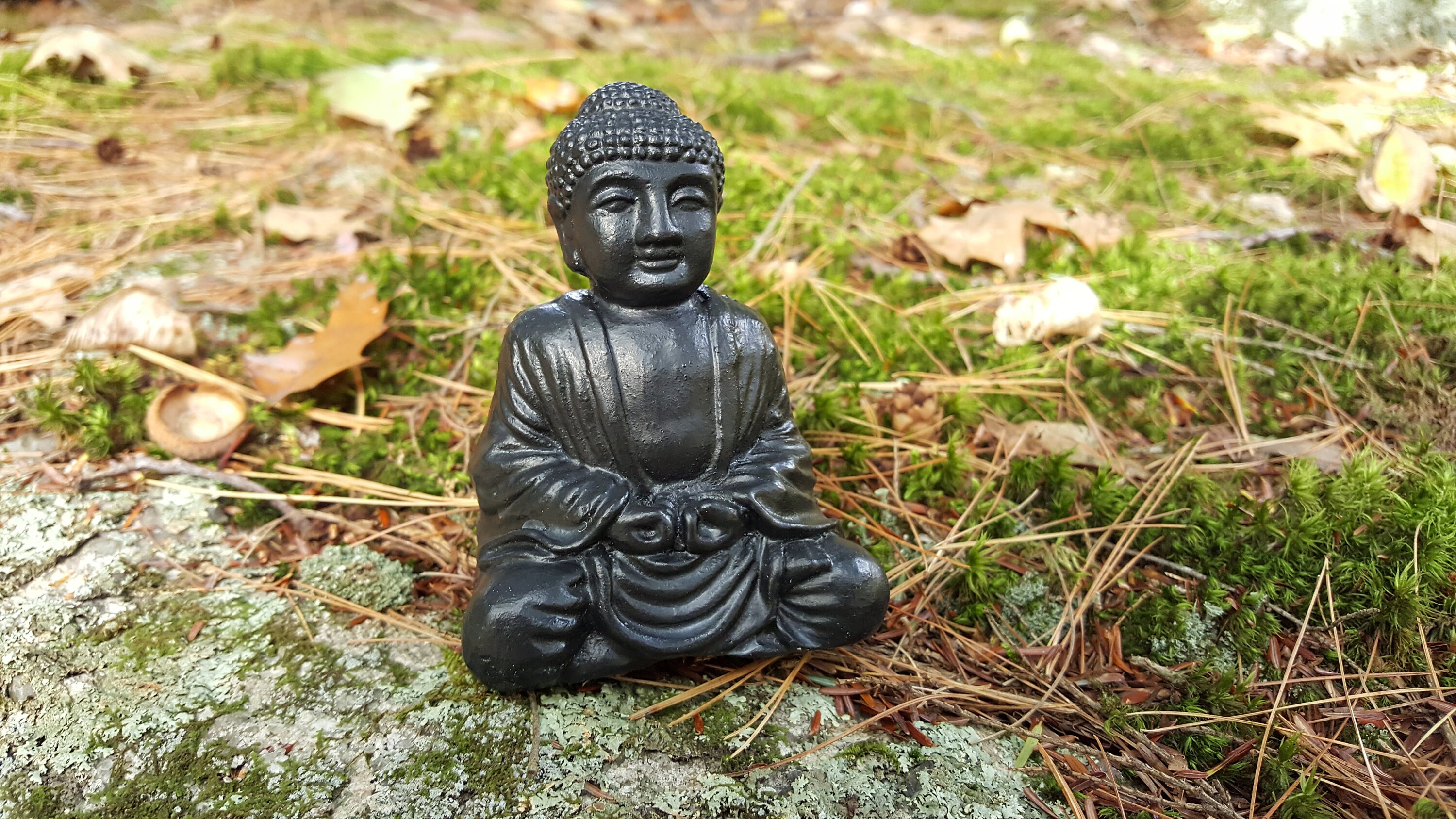 Buddha Lucky Black Buddha Statue Buddhist Home Decor Zen Etsy