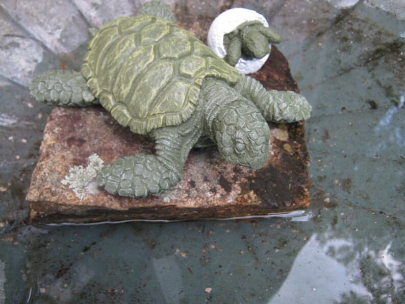 Sea Turtle With Hatching Turtle Egg Concrete Turtle And ...