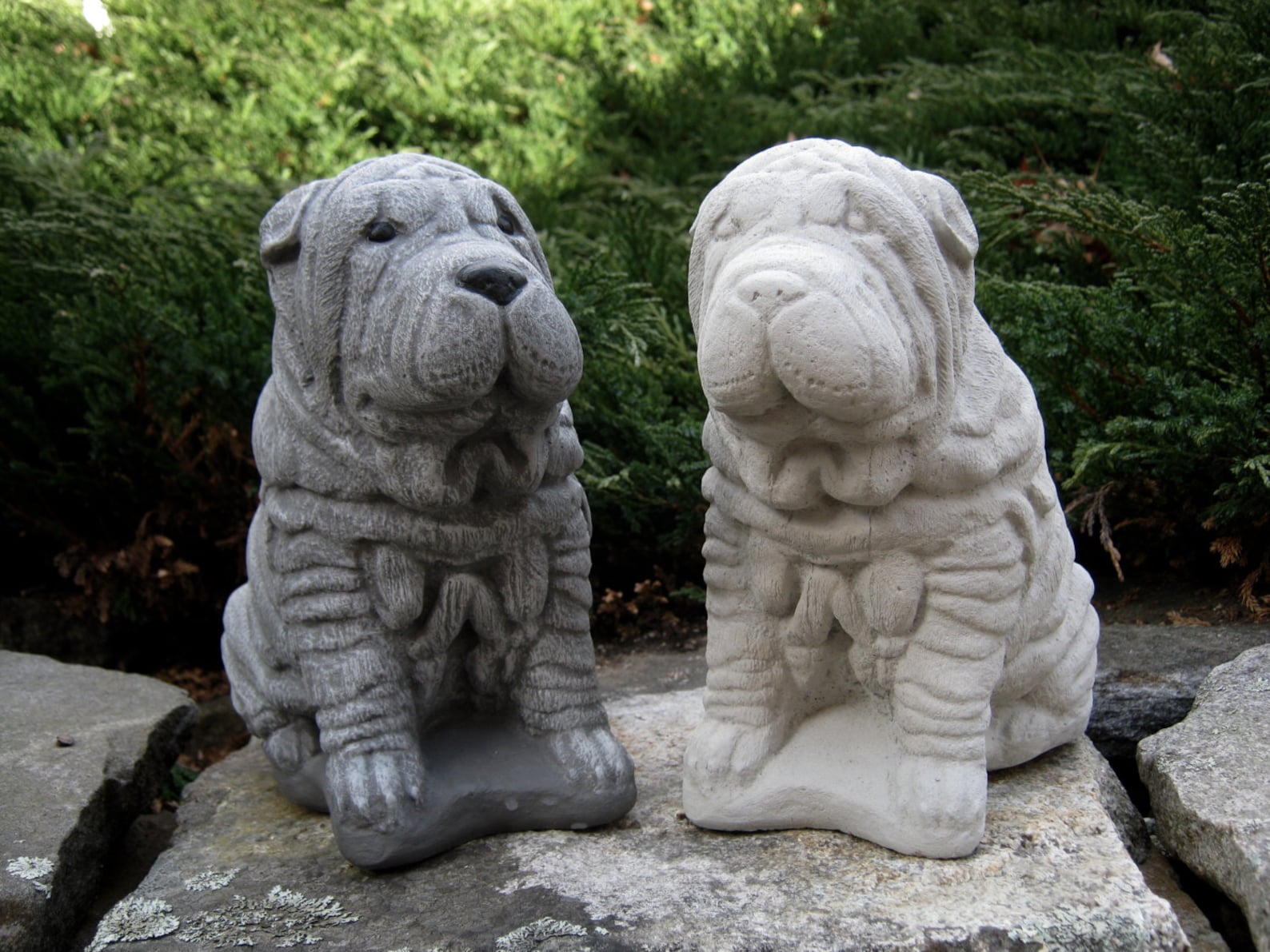 Shar-pei Dog Statue Concrete Dog Statues Pet Memorial Head - Etsy