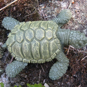 Sea Turtle, Green Concrete Turtles, Cement Cast Stone Pond Decor, Ocean tortoise
