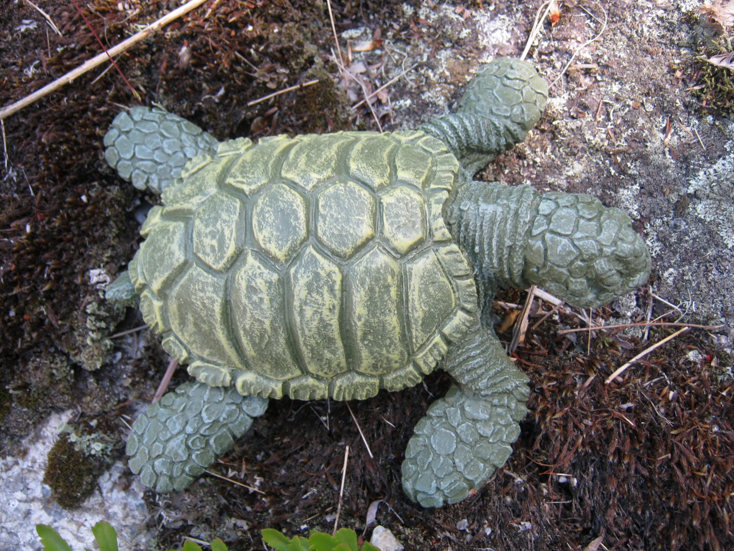 Sea Turtle Green Concrete Turtles Cement Cast Stone Pond Etsy