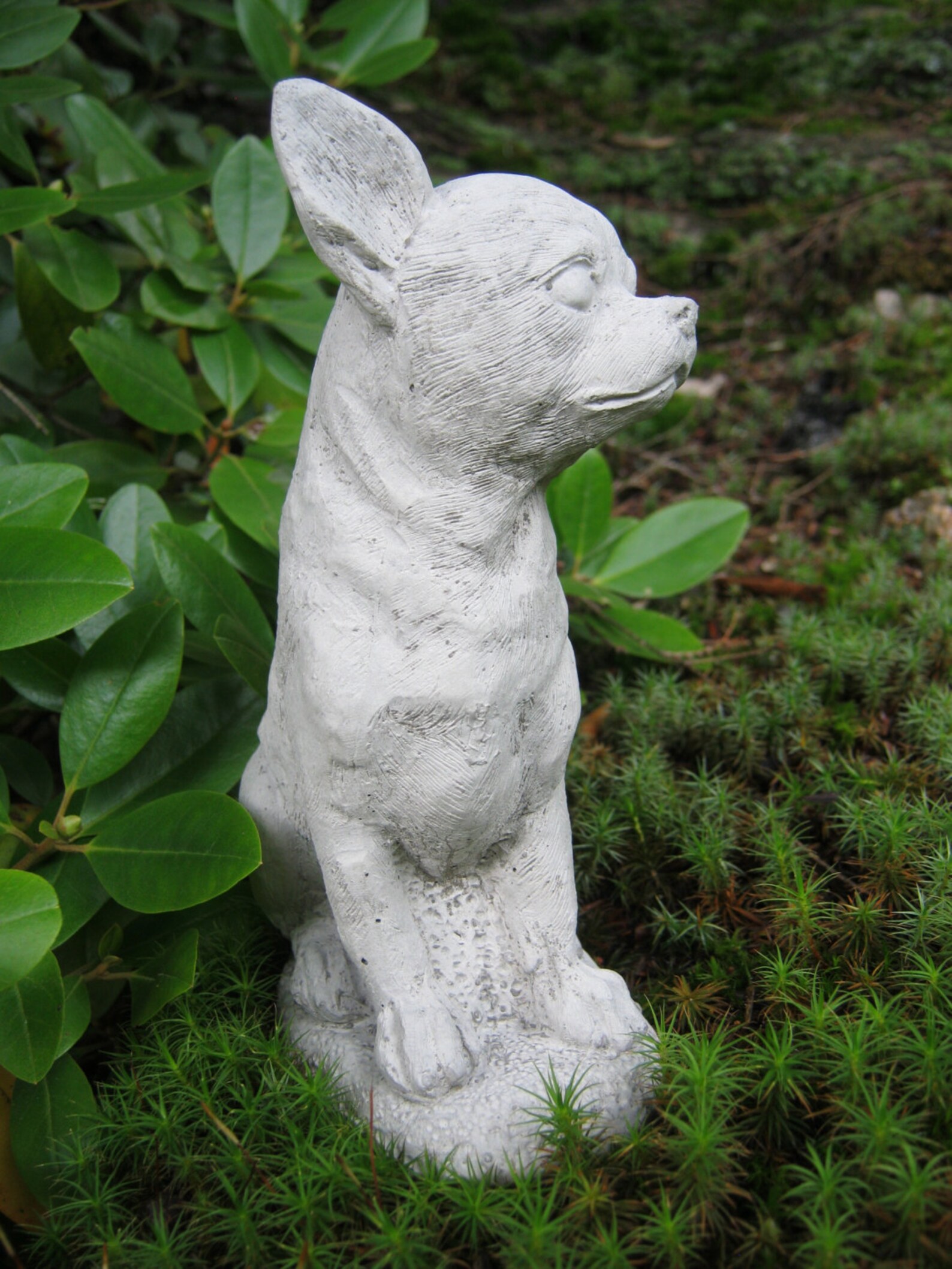multi colored chihuahua statue