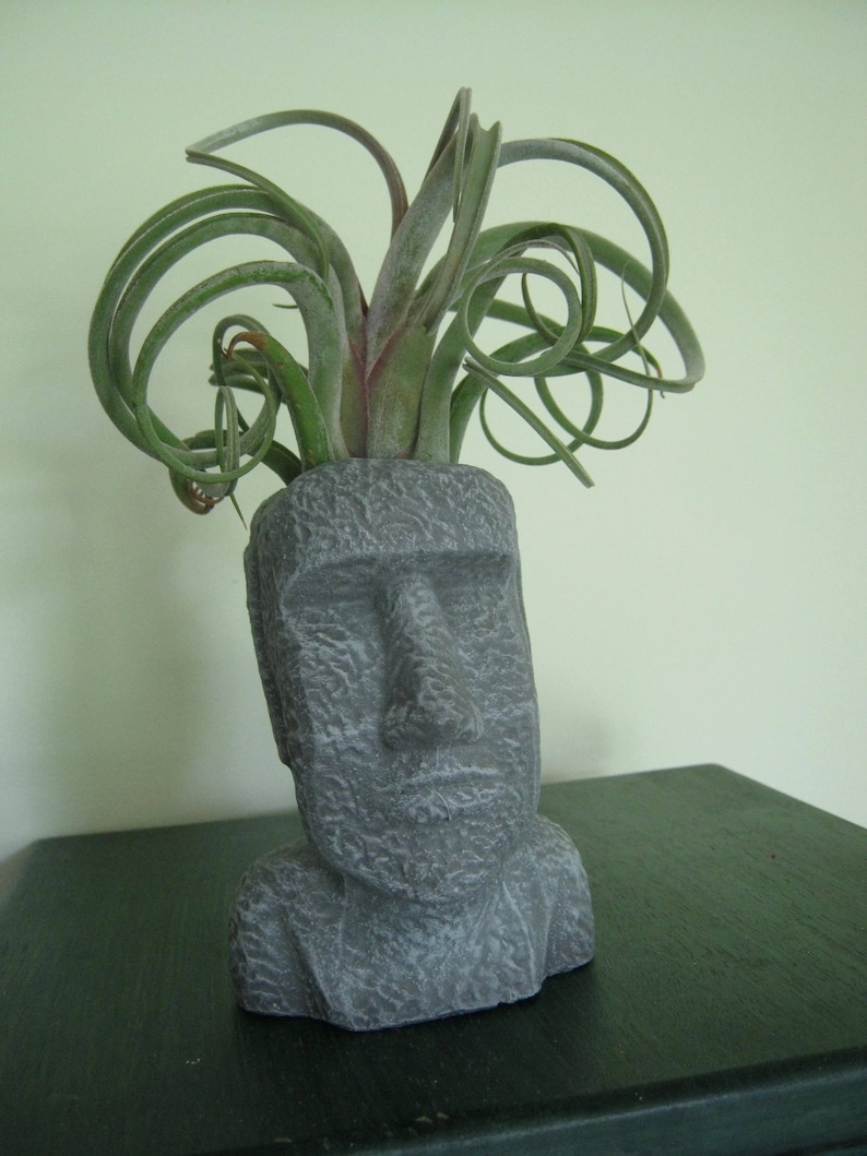 Air Plant Pot Head And Face Plant Pots Concrete Planters Cast Cement Cacti Container Succulent Plant Pot Planter Easter Island Head