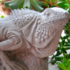 Iguana Statue, Concrete Lizard Figure, Cement Reptile, Garden Decor, Concrete Statues, Garden Statues, Concrete Iguanas, Lizards, Yard Art