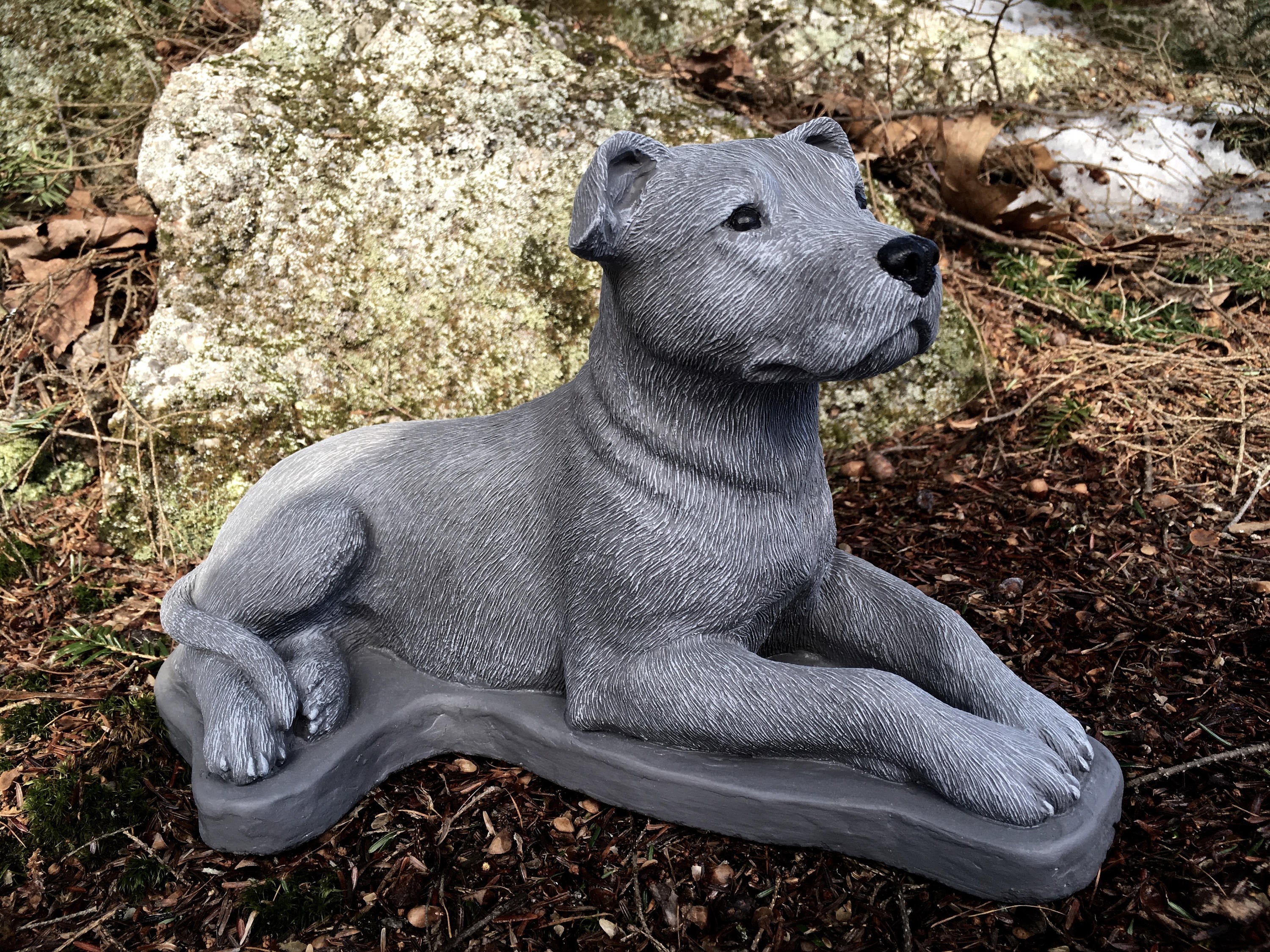 Pitbull Statue Concrete Statues. Pit Bull Dog Statue Garden Etsy