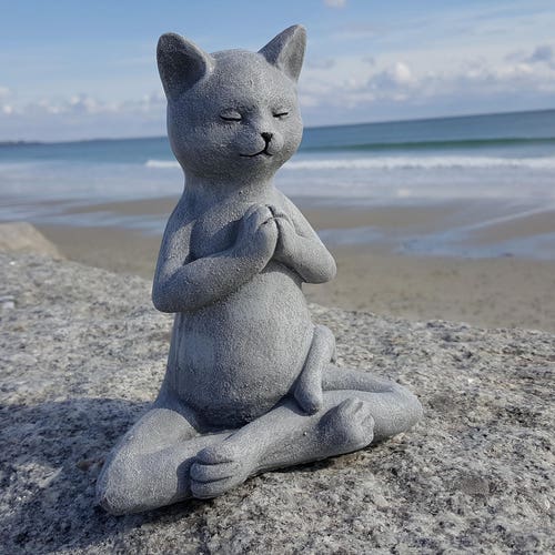 Meditating cat statue Clearance
