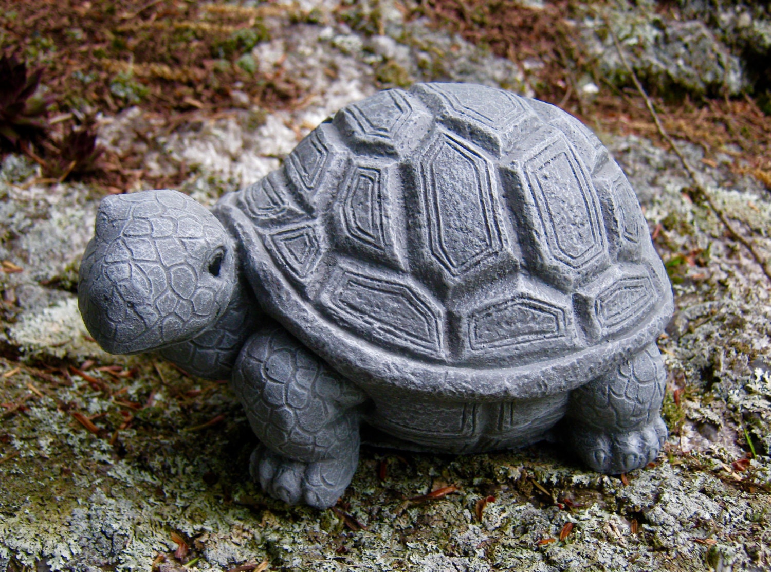 Turtle Statue Concrete Cement Turtles Painted Turtle Cement Etsy