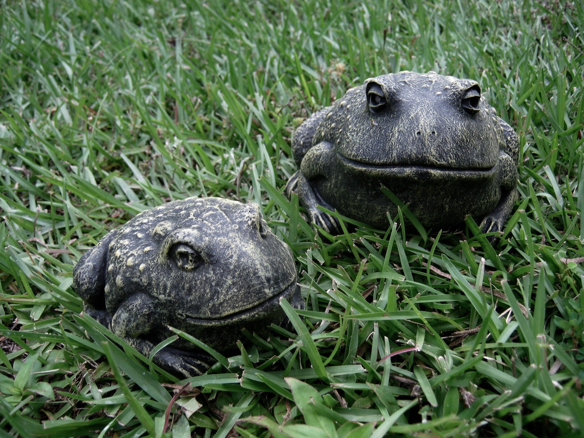 Toad Garden Statue Cute Frog Concrete Figure Painted Cement - Etsy